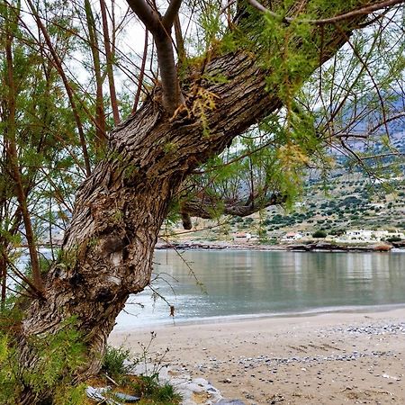 Tholos Alexandra'S Beachfront House Καβούσι Εξωτερικό φωτογραφία