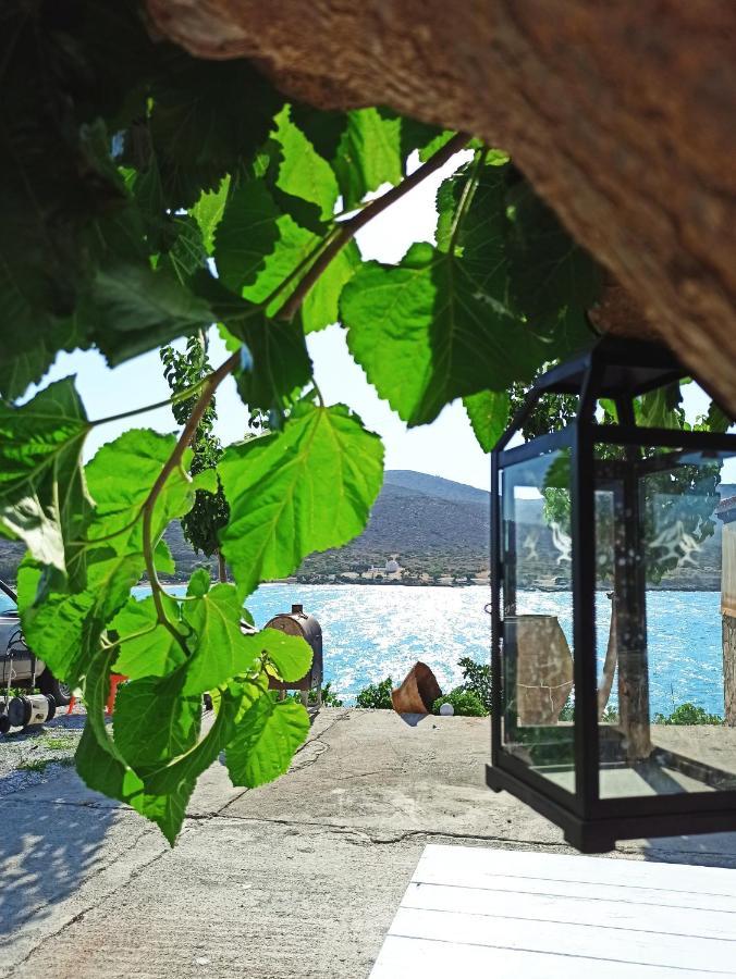 Tholos Alexandra'S Beachfront House Καβούσι Εξωτερικό φωτογραφία