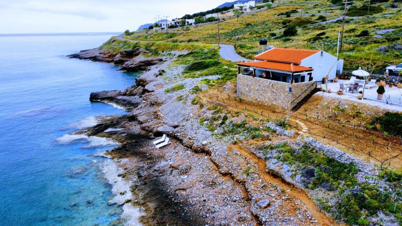 Tholos Alexandra'S Beachfront House Καβούσι Εξωτερικό φωτογραφία