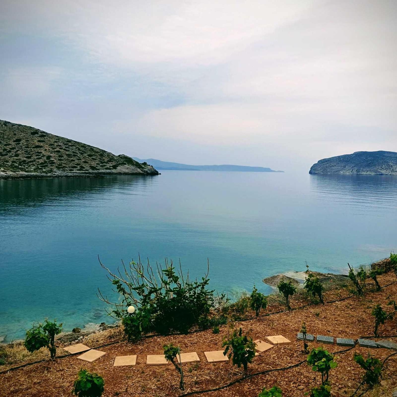 Tholos Alexandra'S Beachfront House Καβούσι Εξωτερικό φωτογραφία